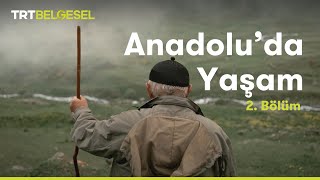 Anadolu'da Yaşam | Yayla | TRT Belgesel
