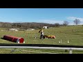 Leia-Novice Touch N Go, Wild, Run 2