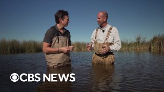 Protecting And Preserving The Environment | Eye On America