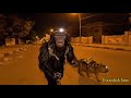 سكايدو او سكور يروحون يجيبون البايسكل في المقبره سكايدو او سكور يروحون يجيبون البايسكل في المقبره