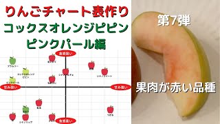 オレンジりんご様 リクエスト 5点 まとめ商品 オレンジりんご様 リクエスト 5点 まとめ商品 - メルカリ