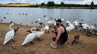 Feeding Swans & Wildlife | Thrybergh Country Park 🦢🌿