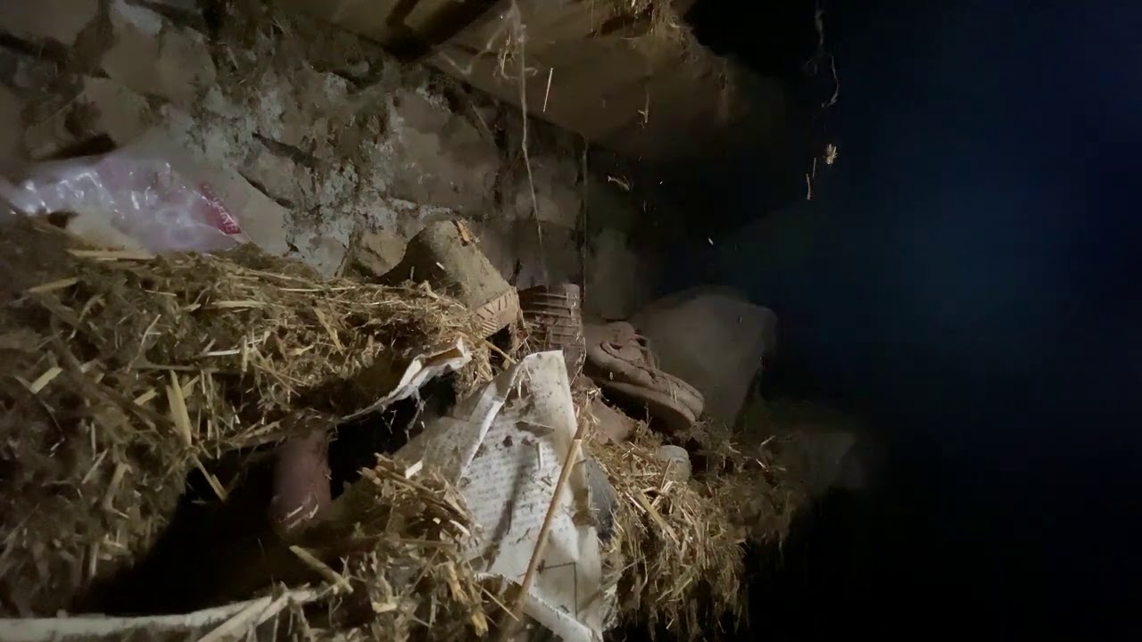 Altın Ararken Tuzağa Düşürüldüm TEK PART - Korku Hikayeleri - Korku Hikayesi - Define - Büyü