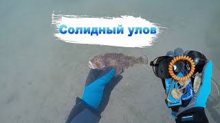 Подводный поиск ЗОЛОТА иногда удивляет | Коп 2023 |  Металлоискателем Minelab  в Черном море