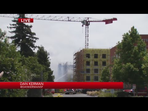 Massive Redwood City