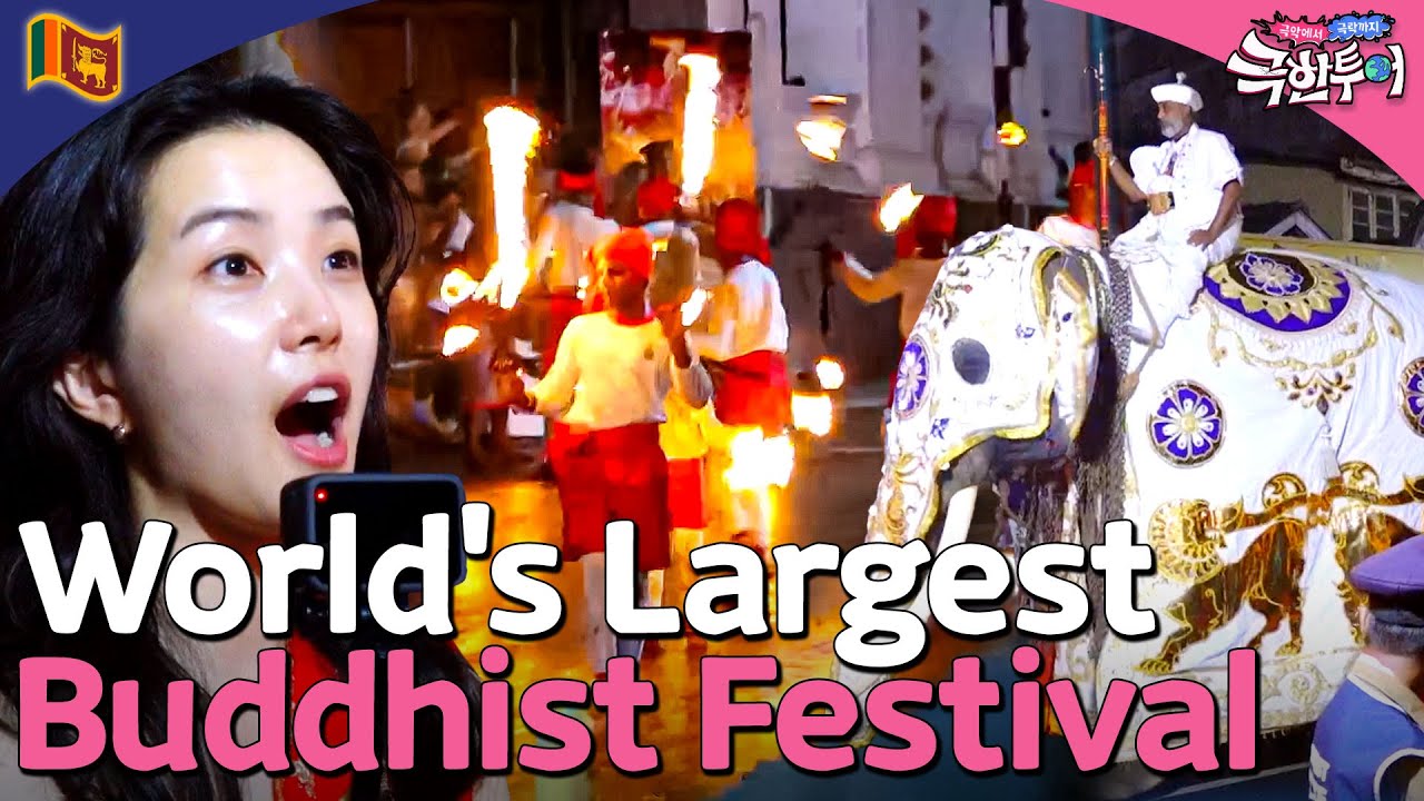 The Largest Buddhist Event in the World 🐘 ' Esala Perahera' in Sri Lanka | Extreme Tour ep. 6-1