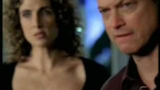 Burradas informáticas CSI Profile