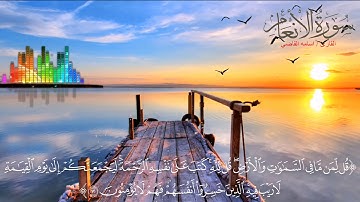 ما تيسر من سورة الأنعام بصوت أسامة القاضى