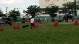 ポリーにびっくり! 20100517 (b)