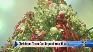 Is your Christmas tree making you sick?