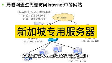 解锁新加坡专用服务器解决方案的性能：您业务成功的关键 - Raksmart