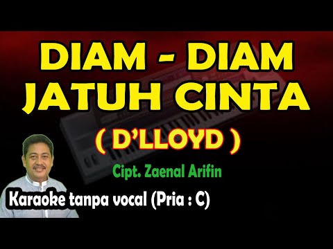 Diam-Diam Jatuh Hati - D