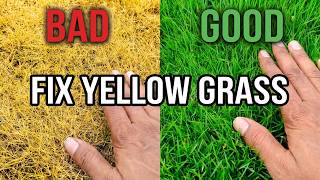 5 Things You Should NEVER Do AFTER INSTALLING LAWN