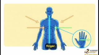 A Doctor Animated Gray's Anatomy Chapter 1 So You Never Forget It"
