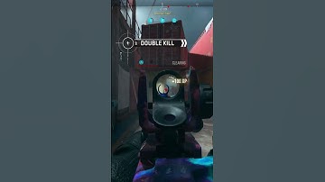 Broken Fennec 45 Class for Shipment #mw2