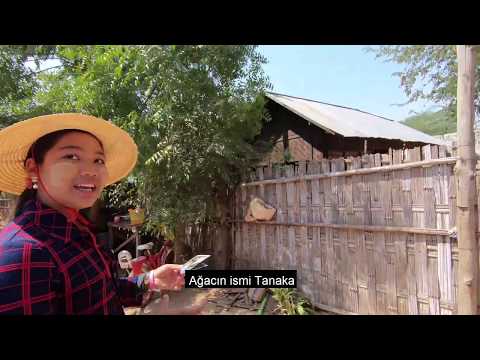 Video: Bagan, Myanmar'da Görülmesi Gereken Altı Tapınak