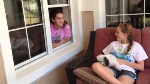 geometry chapter 11 video