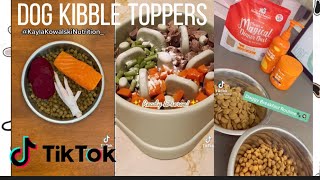 Tiktok dog feedings compilation (kibble)