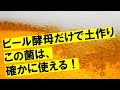 まるで、肥料を入れたような生育！ドラッグストアで買える菌資材。