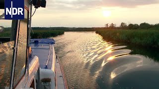 Kreuzfahrt: Von der Müritz bis zum Amazonas des Nordens | die nordstory | NDR Doku