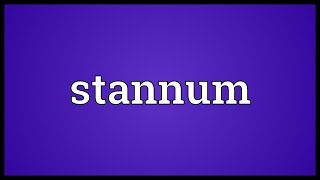 Stannum Meaning