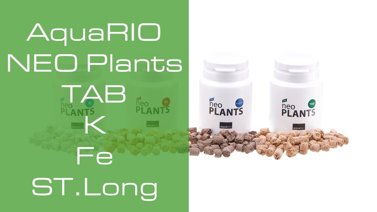 AquaRIO NEO Plants Tab K Fe y ST Long PezVerde YouTube