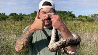 FOUR PYTHONS SLAYED with @AntmansAdventures