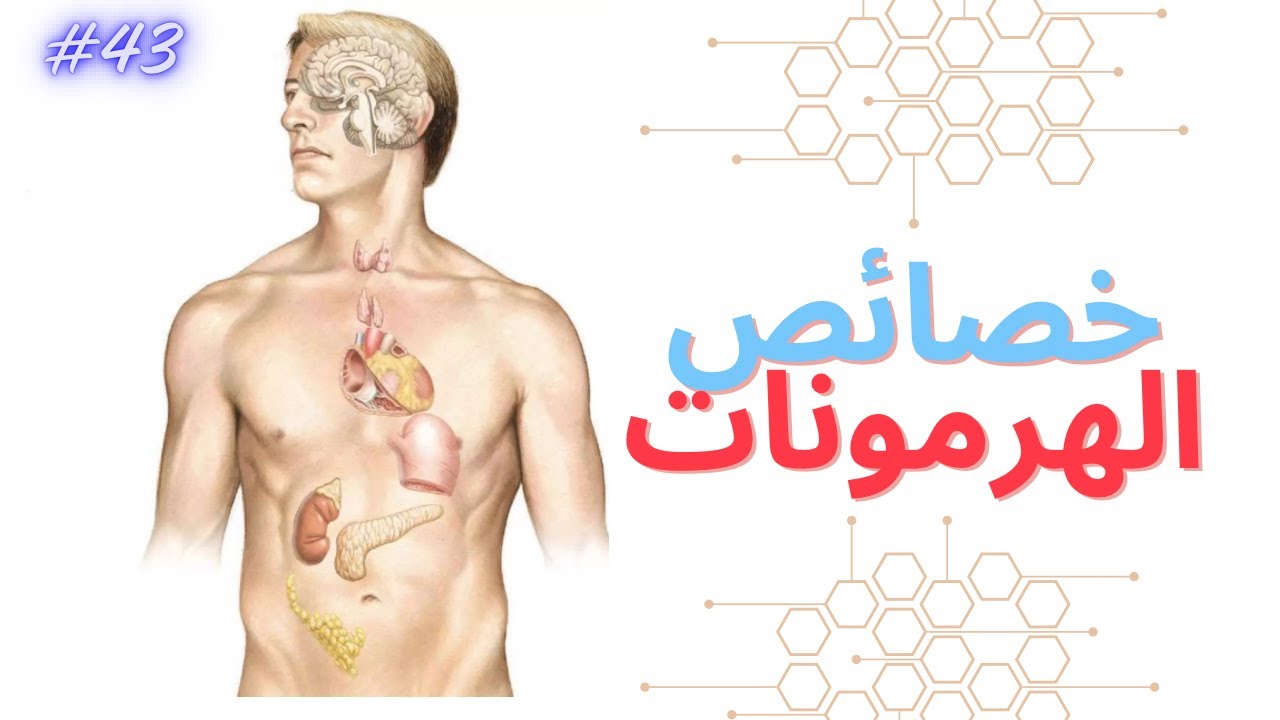 خصائص الهرمونات