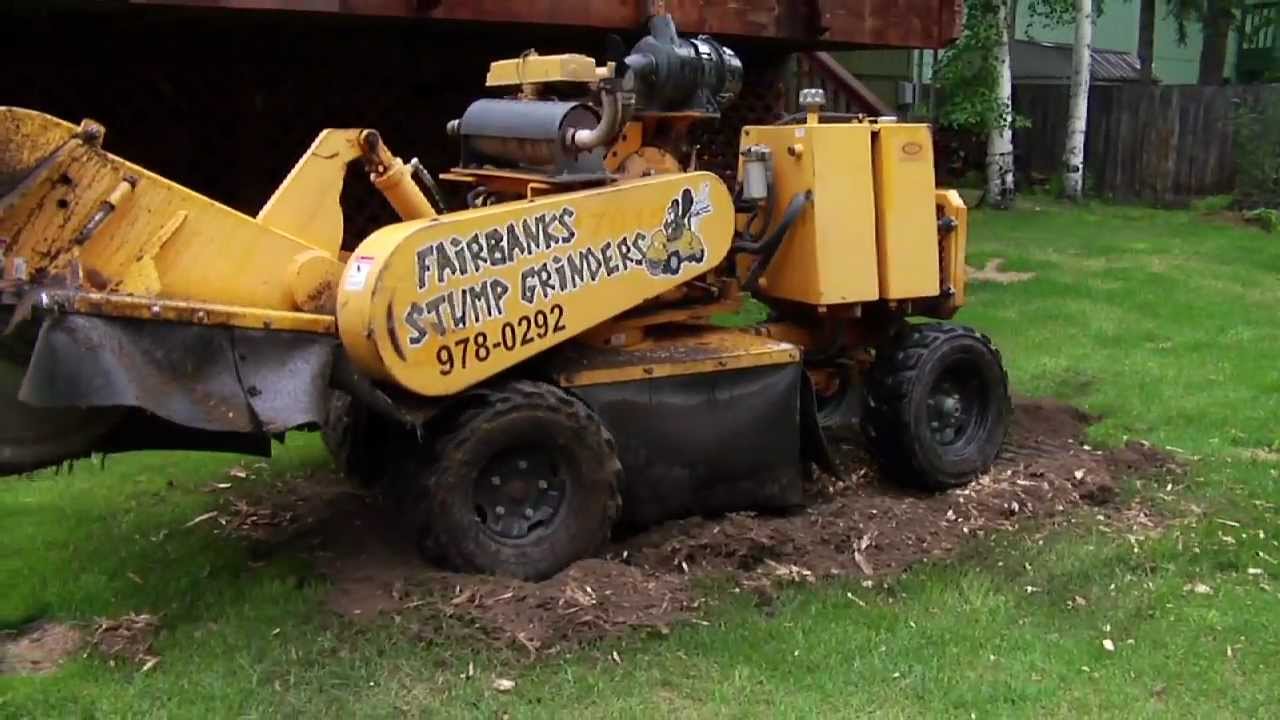 Fairbanks Stump Grinders removing stumps in Fairbanks Quickly! YouTube