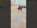 خيرة ها خيرة 