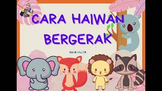 CARA HAIWAN BERGERAK - SAINS PRASEKOLAH