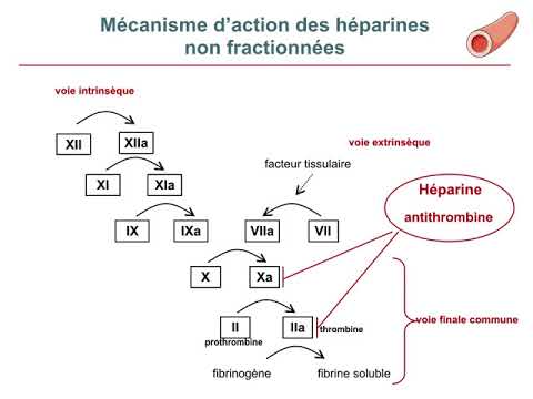 Vidéo: Anticoagulants - Mécanisme D'action, Liste Des Médicaments