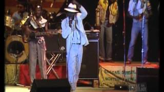Download Lagu Eek A Mouse Live At Reggae Sunsplash 1982 PART 2 MP3