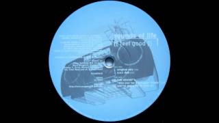 Sounds Of Life - Feel Good (Bob Sinclairs \