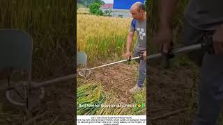 Harvesting Wheat with a Backpack Electric Mower – Perfect for Small Plots ⚡🌾