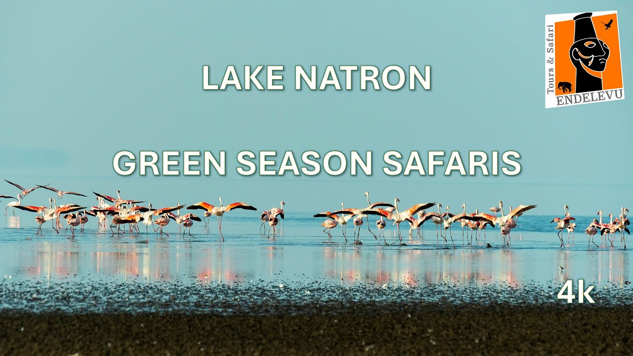 Lake Natron - Endelevu Tours & Safaris northern Tanzania tours.