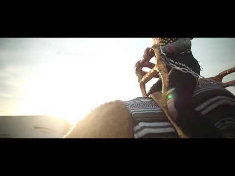 Carnival | (Shannon Keeley / Gary Feng)
