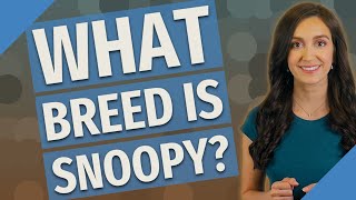 What breed is Snoopy?