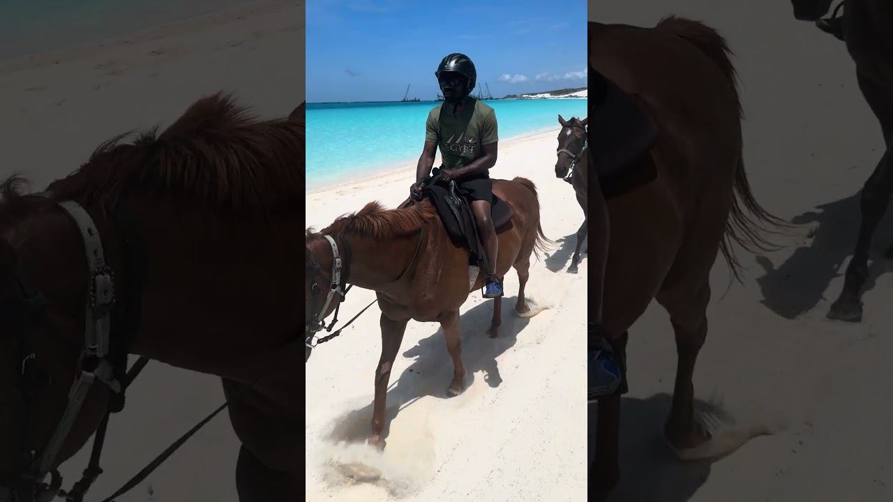Horseback Riding in Half Moon Cay!  “I love Horses”-Tessie #halfmooncay #cruise