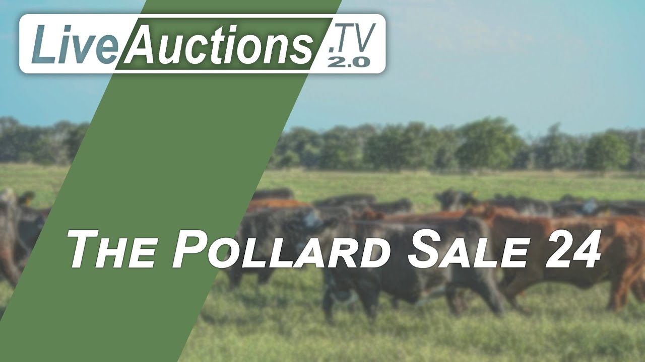The Pollard Sale 24 YouTube