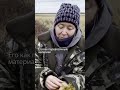 В памперсах используют технологию этого мха #россия #болото #сибирь #экспедиция #история #полезно