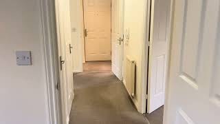 IMG 7862