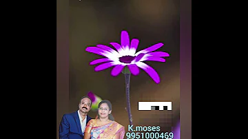 June 8 2025 