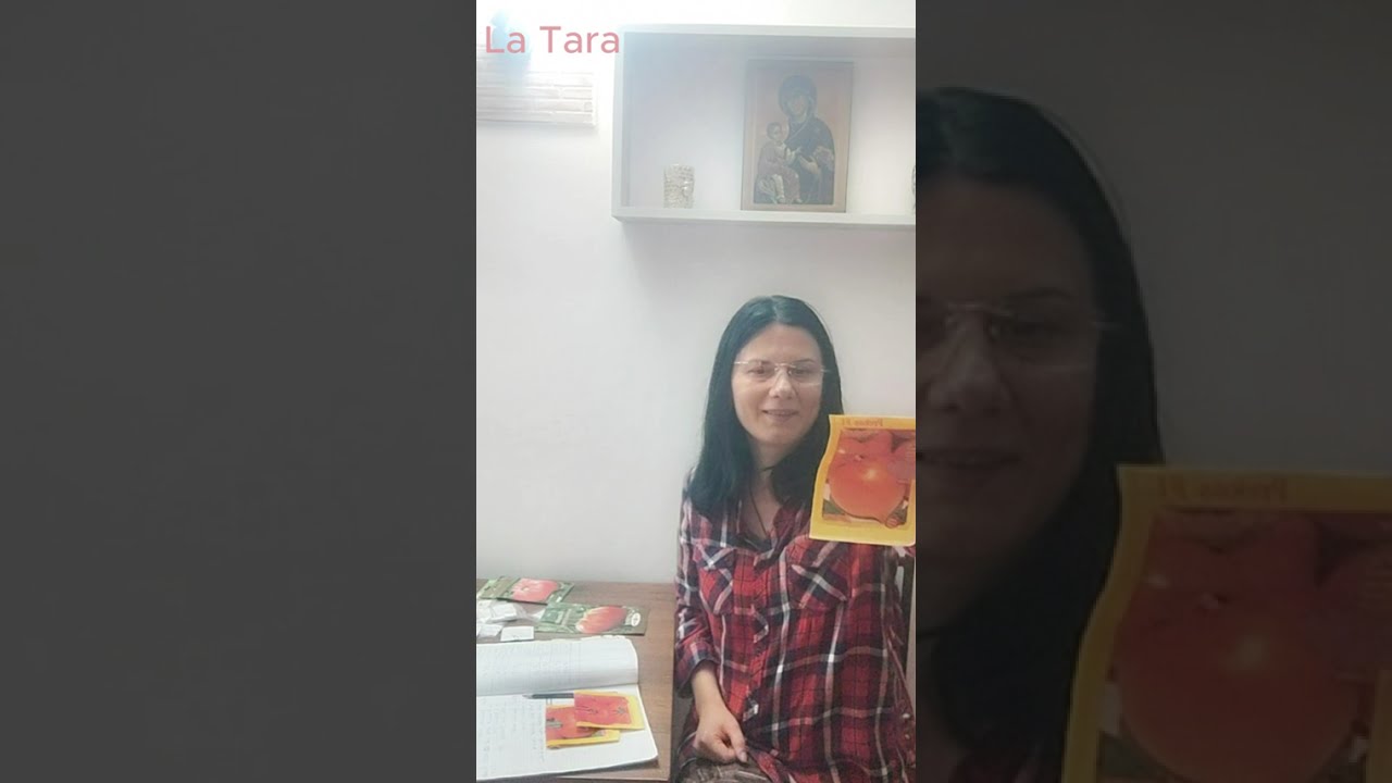 Care sunt soiurile de roșii pe care le vom cultiva  în anul 2026 (ultima parte)