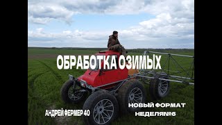 картинка: И СНОВА ТУМАН В ДЕЛЕ, МОИ ОШИБКИ ПРИ ПОДКОРМКЕ
