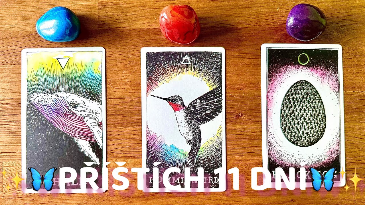 ✨💌🐬Příštích 11 dnů🦋Co se stane?💜⭐️