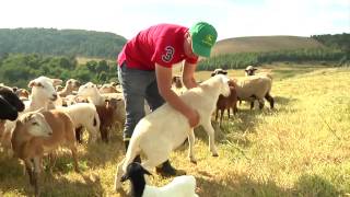 Agricultura al Día - Próximos encuentros de Agricultura Familiar