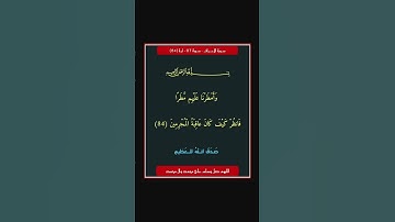 سورة الاعراف - سورة 07 - اية 84