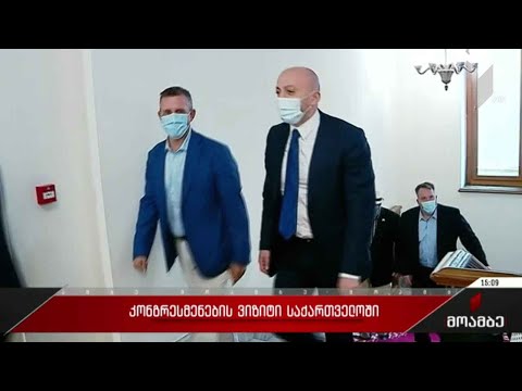 კონგრესმენთა ვიზიტი საქართველოში