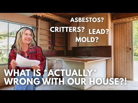 WHAT'S WRONG WITH THIS HOUSE? THE INSPECTION REPORT